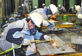 Xử phạt 3 công ty tuyển lao động ngành đóng tàu sang Hàn Quốc