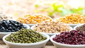 5 thực phẩm giàu protein cho người ăn chay để giảm cân