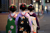 Tấn công tình dục và văn hóa im lặng trong thế giới geisha Nhật Bản