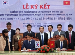 Hà Giang hợp tác xuất khẩu lao động thời vụ đi Hàn Quốc