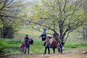Cảnh sát Serbia bắt giữ khoảng 1 000 người di cư trái phép