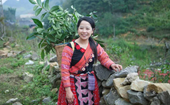 Cô gái H Mông biến điểm nóng ma túy thành điểm sáng du lịch