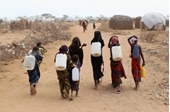 Phụ nữ Kenya bị ép đổi tình dục lấy nước uống