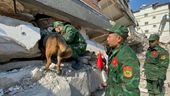 Lực lượng cứu hộ, cứu nạn của Việt Nam tại Thổ Nhĩ Kỳ tìm thấy hai vị trí có dấu hiệu sự sống