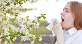 4 loại thảo dược hỗ trợ trị viêm mũi dị ứng mùa xuân