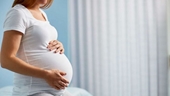 Mối nguy hiểm của virus Marburg đối với phụ nữ có thai