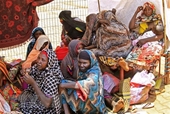LHQ Gần 4 triệu trẻ em và phụ nữ ở Sudan bị suy dinh dưỡng cấp tính
