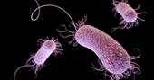 Cảnh báo kháng sinh mất tác dụng ngăn siêu vi khuẩn gây chết người