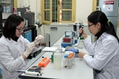 Thúc đẩy hợp tác đào tạo và nghiên cứu khoa học Việt Nam-Nam Phi