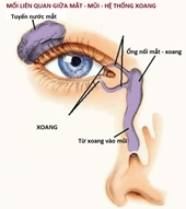 Bệnh mũi xoang có thể gây giảm thị lực