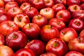 9 lợi ích sức khỏe bất ngờ của táo