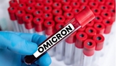 Omicron có 500 biến thể phụ nhưng không đáng lo ngại