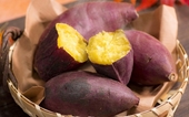 Người Nhật gọi khoai lang là vua chống ung thư , nên ăn đúng thời điểm vàng