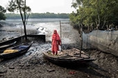 Sức khỏe sinh sản của phụ nữ Bangladesh bị tàn phá nặng nề