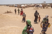 IOM kêu gọi hỗ trợ người di cư vùng Sừng châu Phi thêm 58,5 triệu USD