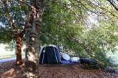 Có công việc vẫn vô gia cư, ngủ trong công viên ở Australia