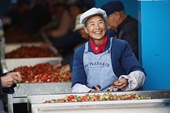 Trung Quốc tìm việc cho người già