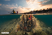 Nhiếp ảnh gia Việt Nam đoạt giải nhì cuộc thi ảnh đại dương quốc tế