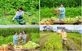 Cô gái Việt bỏ chuỗi cửa hàng sang Nhật làm nông, chinh phục mẹ chồng khó tính