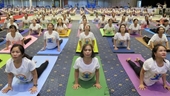 LHQ Vận dụng lợi ích của Yoga để xây dựng một thế giới hòa bình