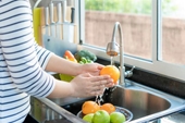 Từ vụ ngộ độc do ăn dưa lê để trong tủ lạnh, lưu ý 9 bước lựa chọn và bảo quản trái cây