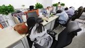 Người hay chợp mắt ban ngày giúp thường có bộ não lớn hơn