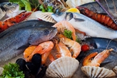 Nguy cơ mắc bệnh khi ăn hải sản sống và cách phòng ngừa