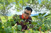 Thạc sĩ bỏ việc nghìn USD đi trồng loại ớt cay nhất thế giới