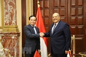 Quan hệ Việt Nam-Ai Cập được xây dựng trên nền tảng vững chắc