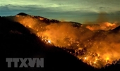 Biến đổi khí hậu làm tăng 25 nguy cơ cháy rừng cấp cực kỳ nguy hiểm