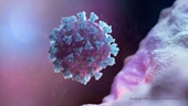 Tunisia phát hiện ca mắc biến thể EG 5 của virus SARS-CoV-2