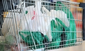 Australia nỗ lực loại bỏ triệt để rác thải nhựa trên toàn đất nước