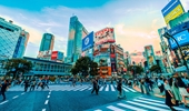 Nhật Bản lên lộ trình tăng cơ hội làm việc cho sinh viên nước ngoài