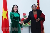 Thúc đẩy hợp tác chặt chẽ giữa Quốc hội Việt Nam và Mozambique