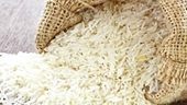 Tổng thống Philippines bác đề xuất giảm thuế nhập khẩu gạo