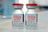 Hàn Quốc cấp phép sử dụng khẩn cấp vaccine cập nhật của Moderna