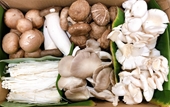 8 lý do nấm là siêu thực phẩm chay đủ sức thay thế thịt