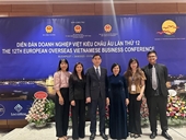 Kết nối doanh nghiệp kiều bào và thúc đẩy công tác dạy, học tiếng Việt tại Hungary