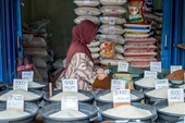 Indonesia lo ngại thiếu hụt nguồn cung gạo do ảnh hưởng của El Nino