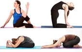 Những tư thế yoga giúp giảm một số chứng bệnh đường tiêu hóa