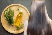 5 lợi ích của hương thảo đối với sự phát triển của mái tóc