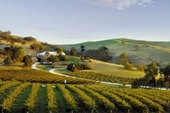 Adelaide - ‘Thiên đường’ du lịch với những người yêu thích rượu vang tại Australia