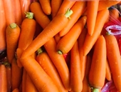 Ăn nhiều cà rốt có gây vàng da
