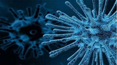 Pakistan Vẫn phát hiện virus bại liệt trong môi trường ở Karachi