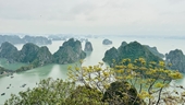 Nơi nào của Việt Nam vào top điểm đến tuyệt vời nhất thế giới