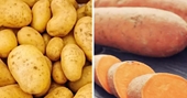 So sánh độ bổ dưỡng của khoai lang và khoai tây
