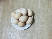 Chuyên gia Viện dinh dưỡng giải oan cho trứng gà