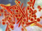 Viêm phổi tăng ở trẻ em nhiều nước Cảnh giác với vi khuẩn mycoplasma