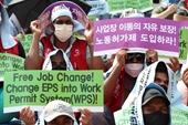 Hàn Quốc cần lao động, nhưng người lao động chỉ muốn kiếm tiền rồi về