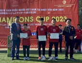 Giải bóng đá tranh Cúp Vô địch Toàn quốc người Việt Nam tại Nhật Bản năm 2023